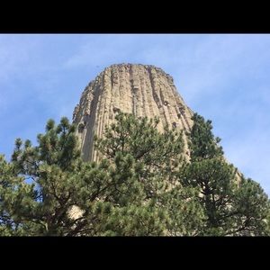 Meet your Posher, Roy